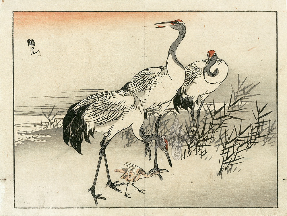 Bairei Japanese Woodblock Prints 1900s