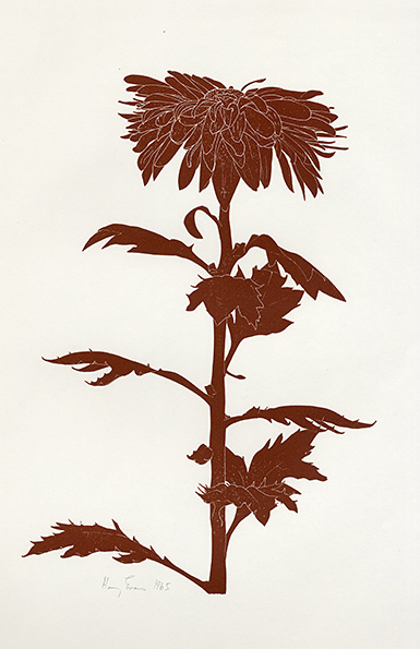Henry Evans Botanical Prints Vol 13 & 34 1965, 1975