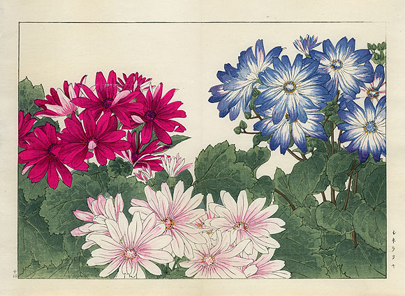 Tanigami Konan Western Flower Woodblock Prints 1917