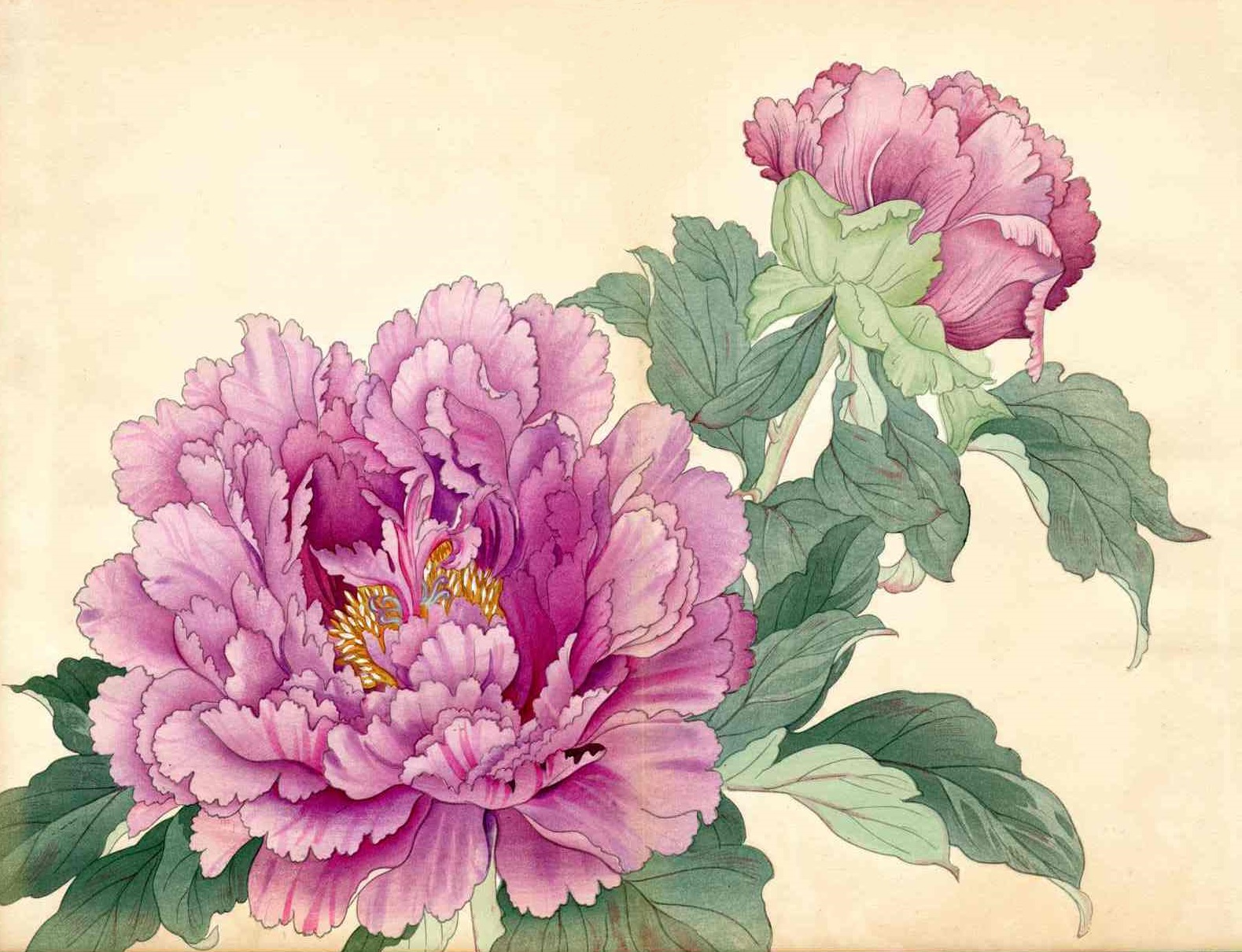 from Original Tanigami Konan Japanese Woodblock Peony Series from the ...