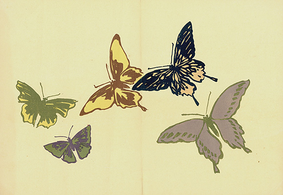 butterfly-in-japanese-the-white-butterfly-japanese-legends-10