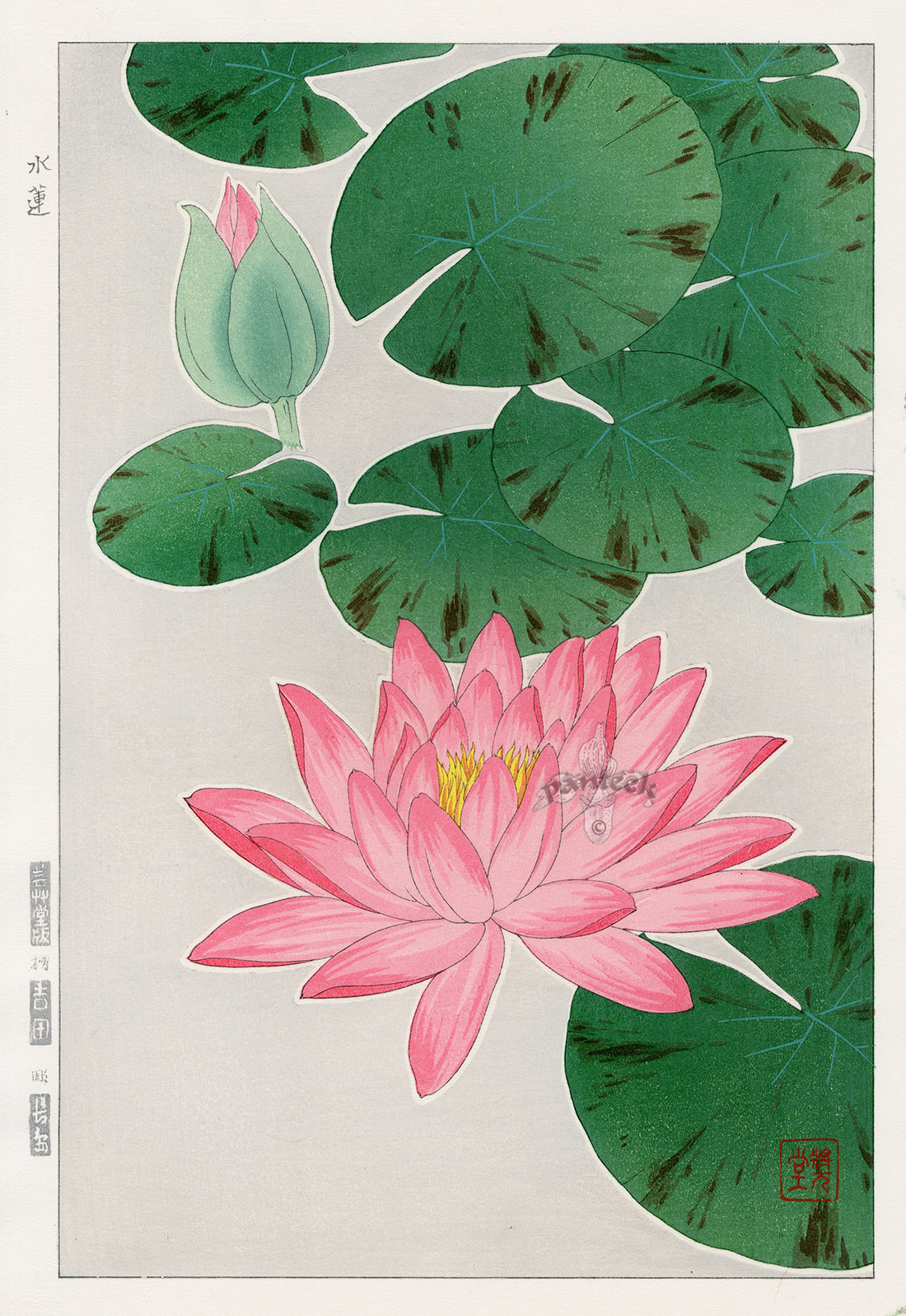 Japan floral sketchbook manuscript watercolor 1800 Washi paper