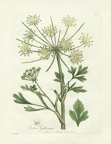 Woodville Medical Botany Prints 1790